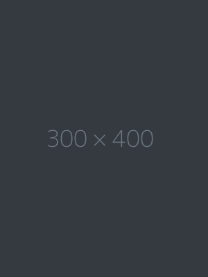 Project Name 1